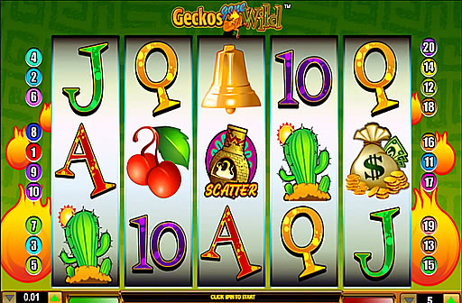 Geckos Gone Wild