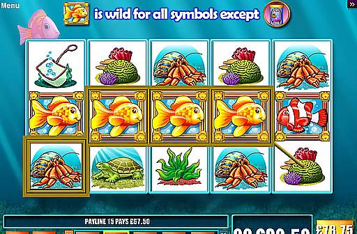 Gold Fish