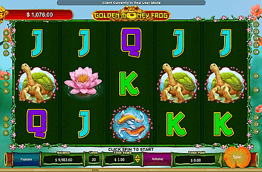 Golden Money Frog