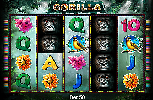 Gorilla