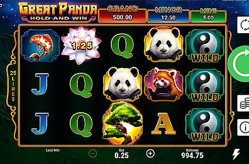 Great Panda Hold and Win