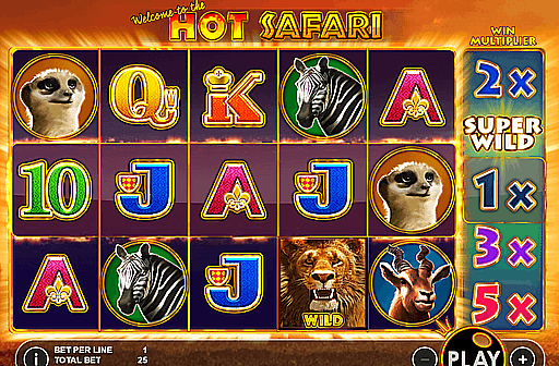 Hot Safari