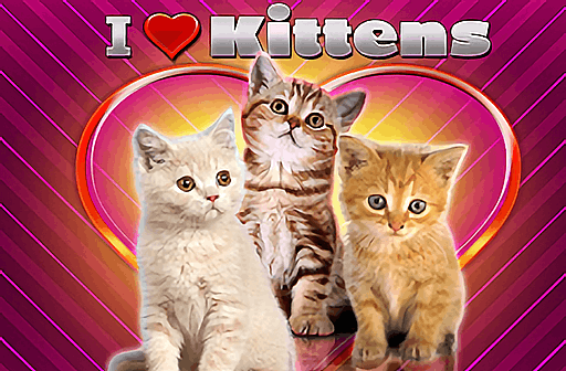 I Love Kittens