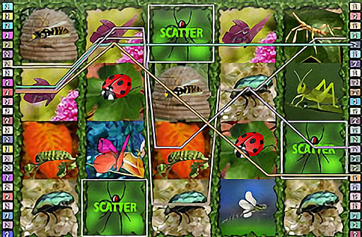 Insect World