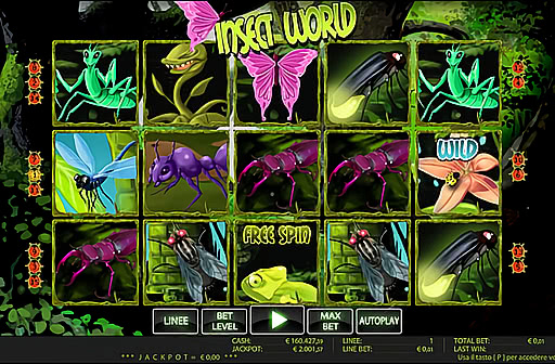 Insect World