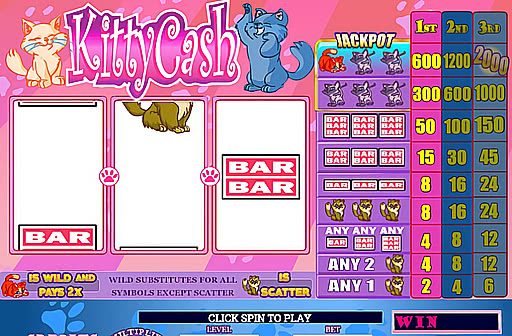 Kitty Cash