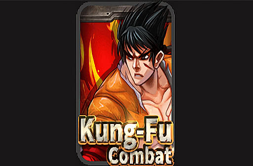 Kung Fu Combat