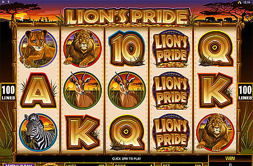 Lions Pride