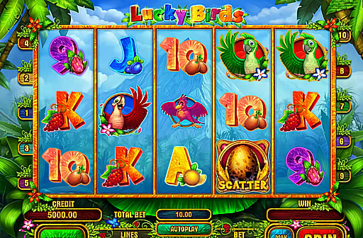 Lucky Birds