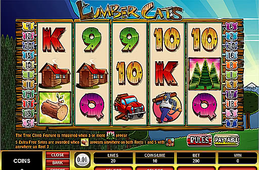 Lumber Cats