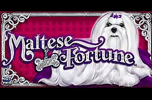 Maltese Fortune
