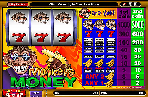 Monkeys Money