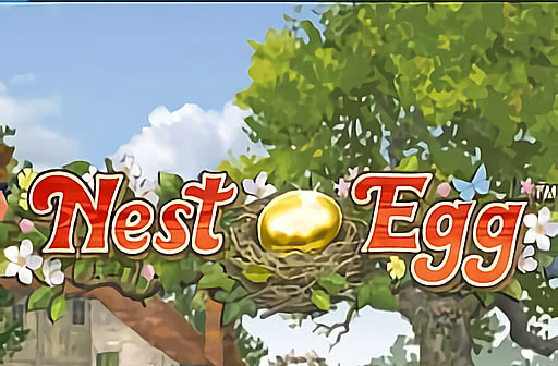 Nest Egg