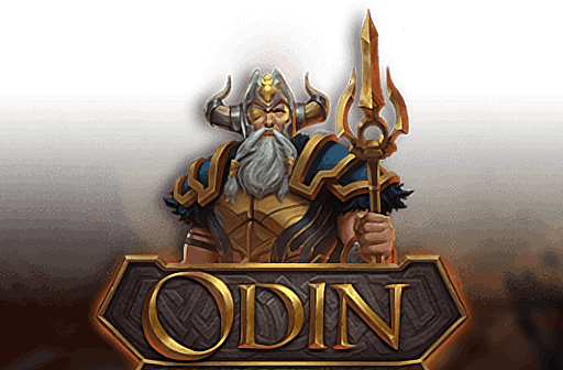 Odin Protector of the Realms
