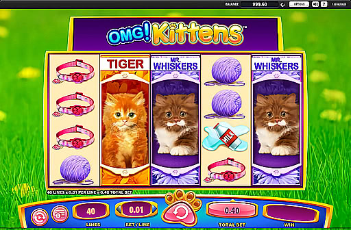 OMG Kittens