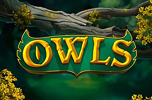 Owls by Nolimit Gaming