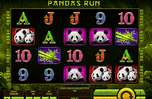 Panda's Run