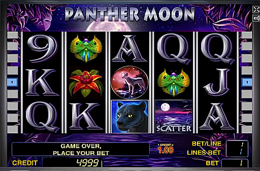 Panther Moon