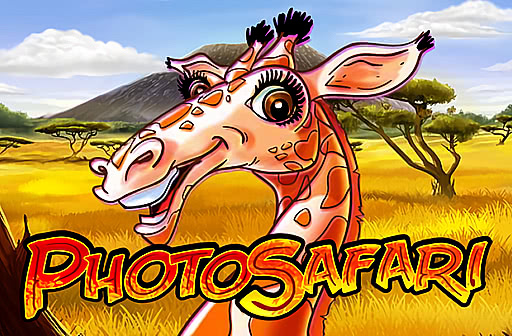 Photo Safari