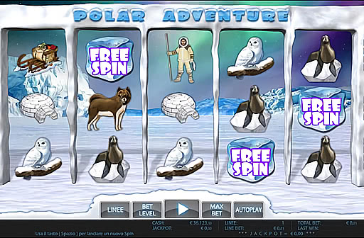 Polar Adventure