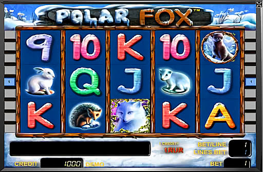Polar Fox