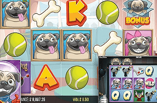 Pugs Life