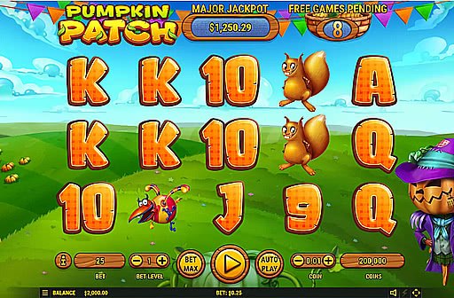 Pumpkin Patch