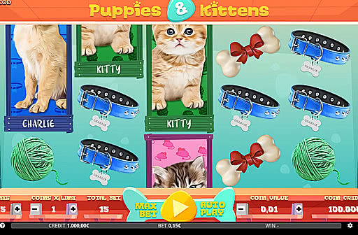 Puppies & Kittens