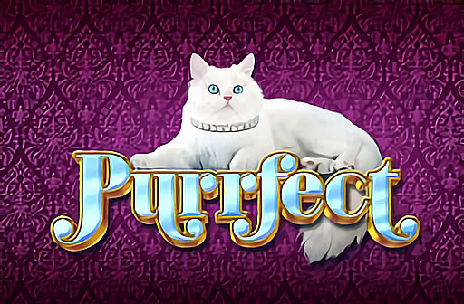 Purrfect