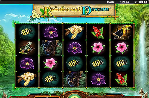 Rainforest Dream