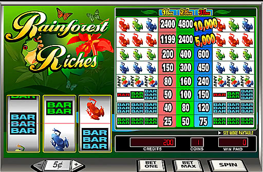 Rainforest Riches