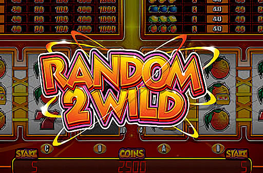 Random 2 Wild