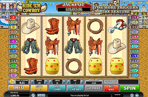 Ride 'em Cowboy