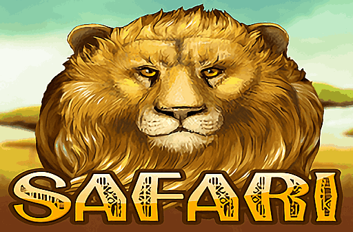 Safari