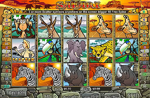 Safari
