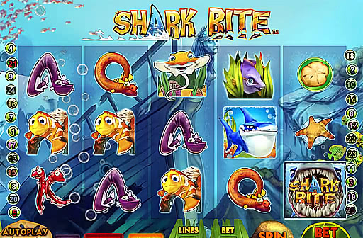 Shark Bite