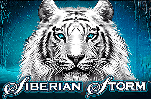 Siberian Storm Dual Play