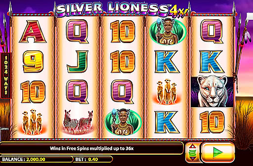 Silver Lioness 4x