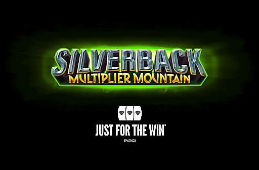 Silverback Multiplier Mountain