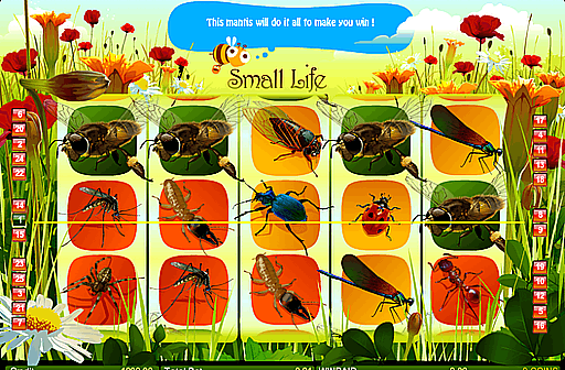 Small Life