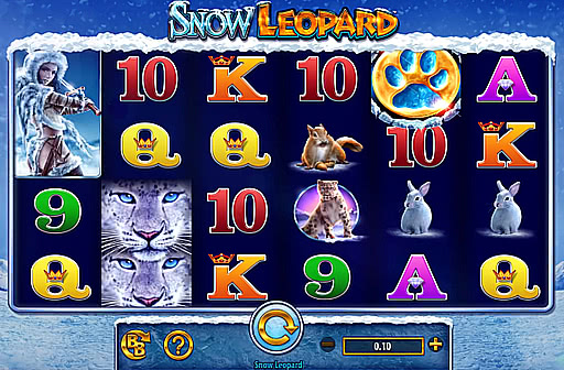 Snow Leopard