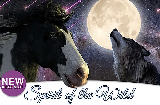 Spirit of the Wild