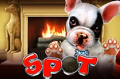 Spot