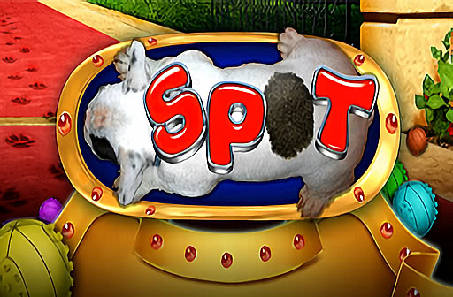 Spot