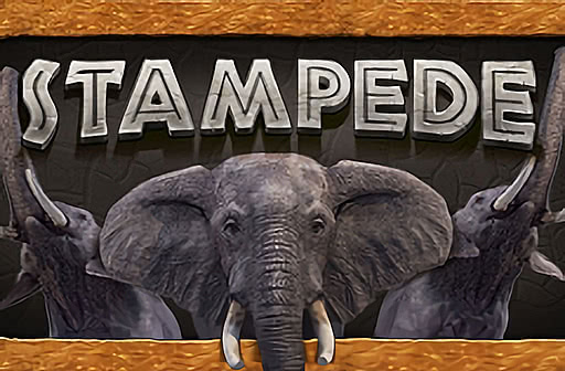 Stampede