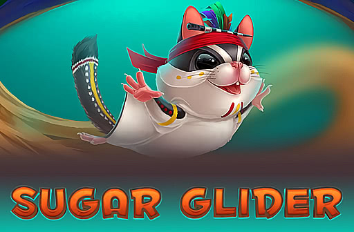 Sugar Glider