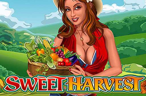 Sweet Harvest