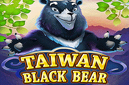 Taiwan Black Bear