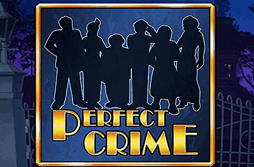 The Perfect Crime
