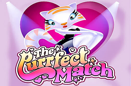 The Purrfect Match